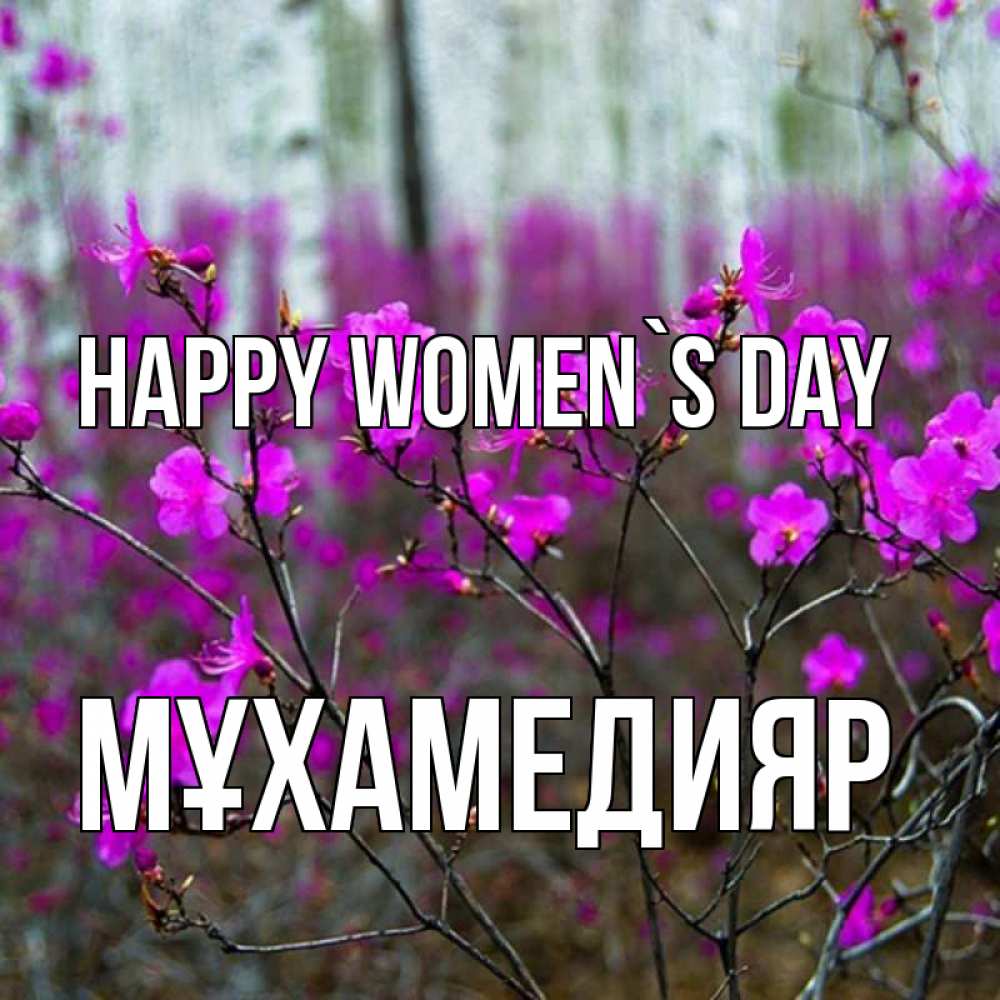 Greetings card с именем, МҰХАМЕДИЯР happy women`s day дикие цветы Greetings with text for free download 
